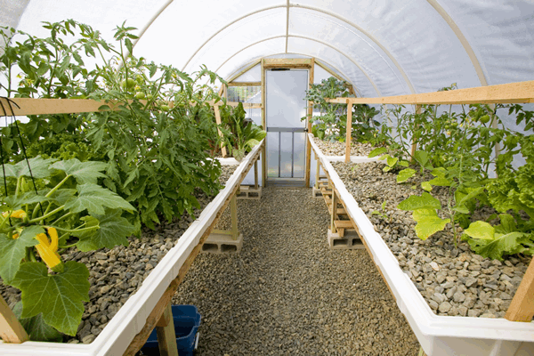 San Diego Aquaponics Company Offers Portable and Sustainable Gardening ...