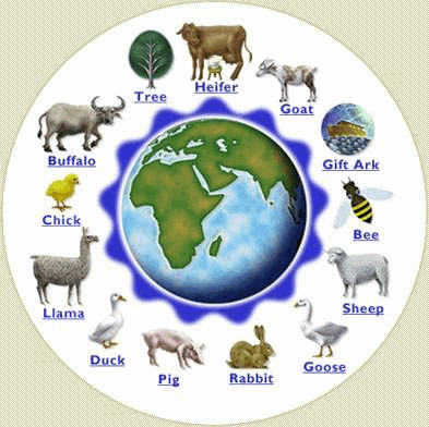 heifer animal circle