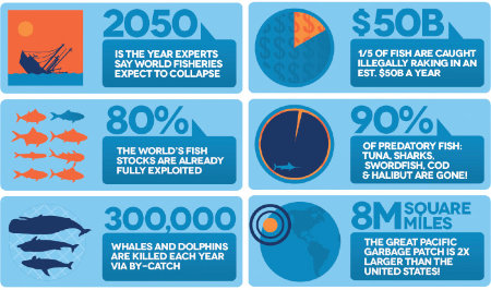 Overfishing 