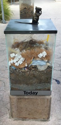 San Diego Zoo Exhibit showing trash today 