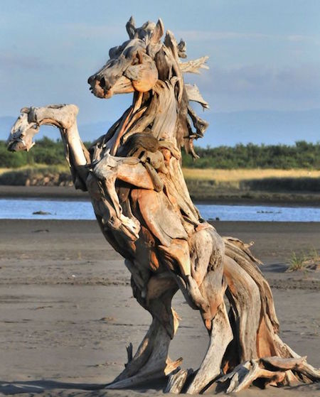 driftwood he scavenges from the beaches and waterways of Washington State’s Pacific coastline