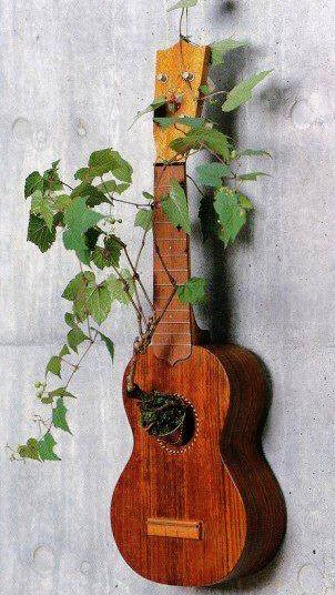 Reust guitar plants