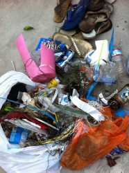 3 Days of Beach Trash And Litter